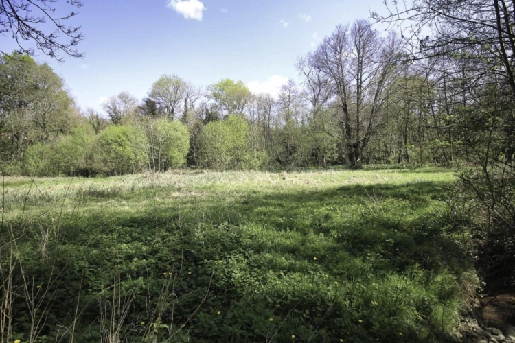 Photos 20 - Prestige - Maison de campagne