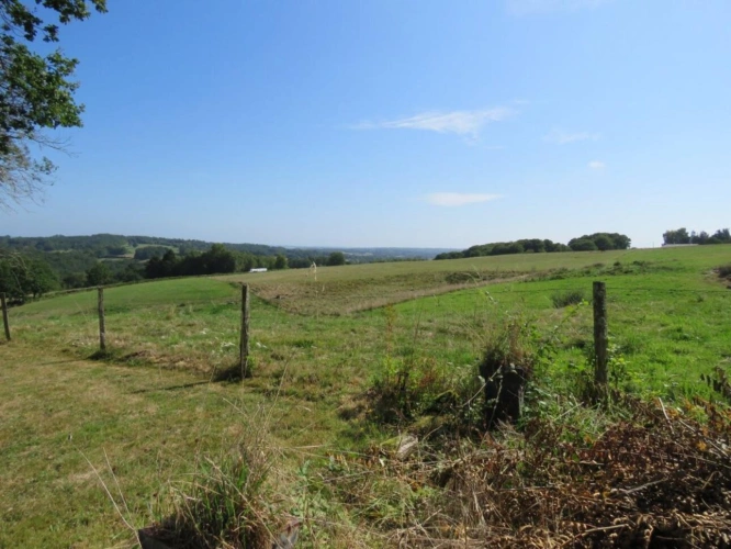 Photos 3 - Prestige - Maison