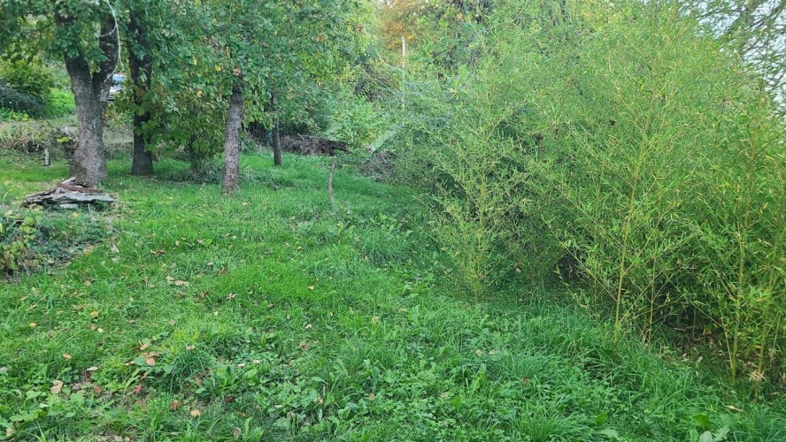 Photos 9 - Prestige - Maison de campagne