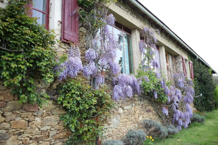 Photos 2 - Prestige - Longere