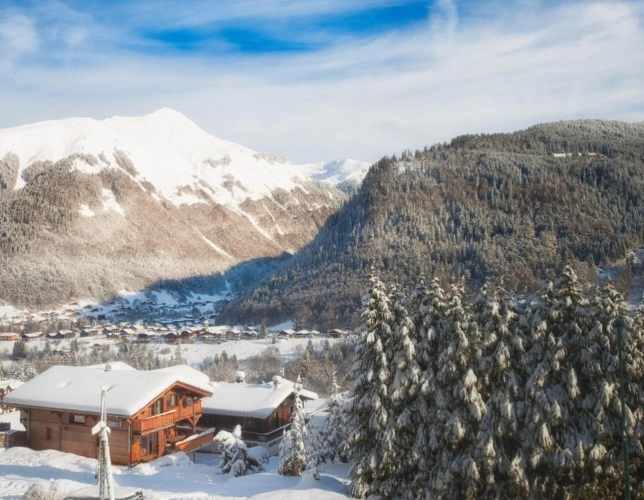 Photos 16 - Prestige - Chalet avec appartement indépendant Morzine