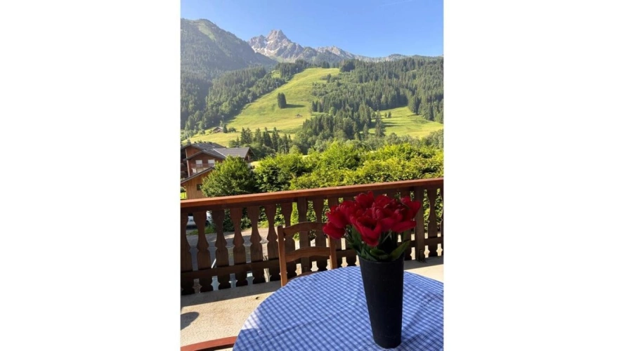 Photos 14 - Prestige - Chalet avec appartement indépendant