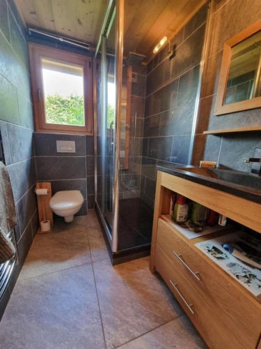 Photos 13 - Prestige - Chalet 6 chambres Châtel