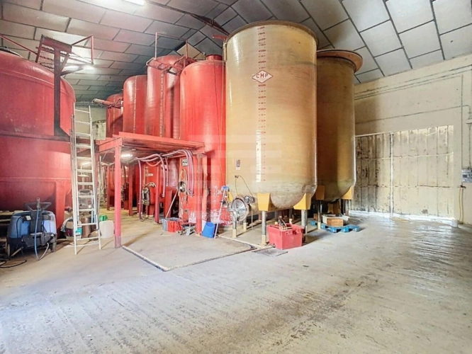 Photos 16 - Agricole - Propriété