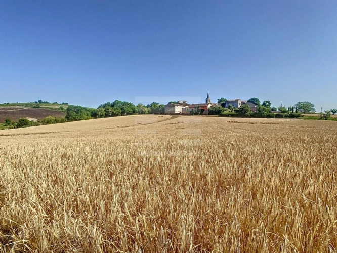 Photos 19 - Agricole - Propriété