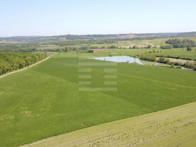 Photos 2 - Équestre - Propriété agricole