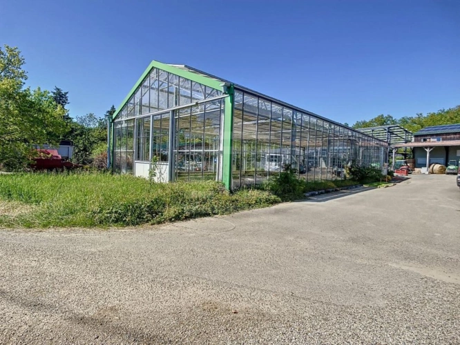 Photos 11 - Équestre - Propriété agricole