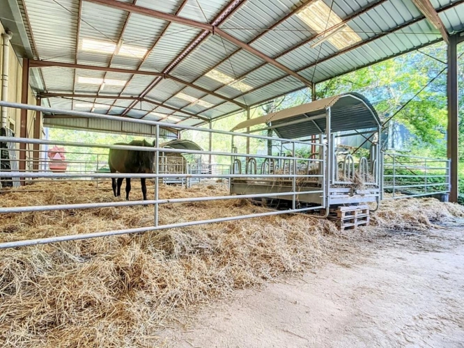 Photos 14 - Équestre - Propriété agricole