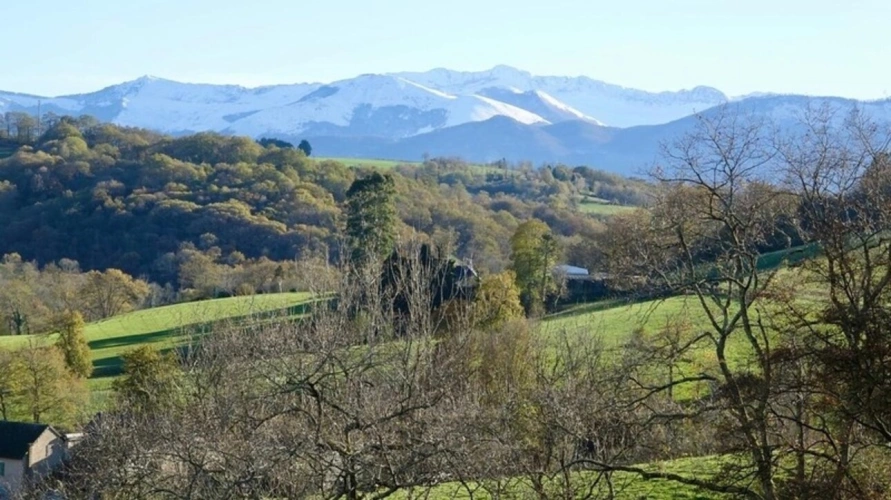 Photos 10 - Équestre - Pau (64) - À vendre Propriété de 450m2 - Forêt et prairie de 20 ha avec vue exceptionnelle sur les Pyrénées au calme