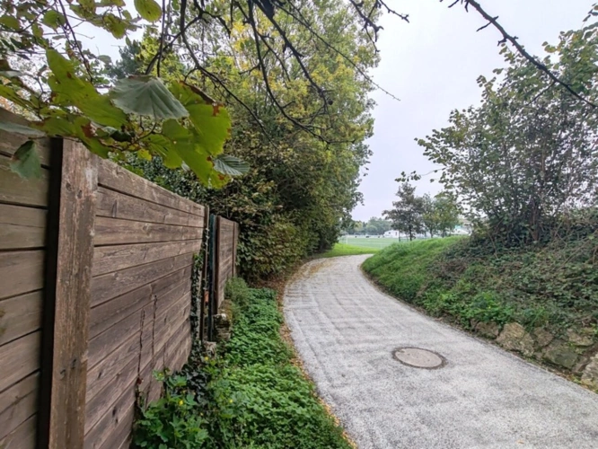 Photos 17 - Prestigious - Propriete à vendre 11 pièces GETIGNE (44)