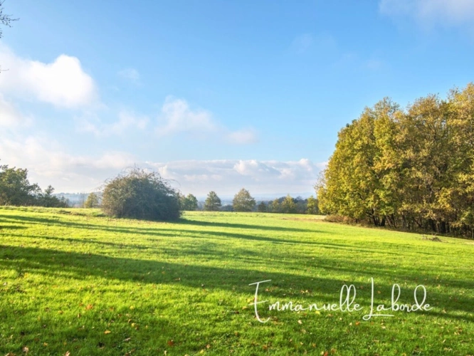 Photos 25 - Prestige - Domaine en pierre avec dépendances et 5 hectares de nature – Monbazillac (24240)