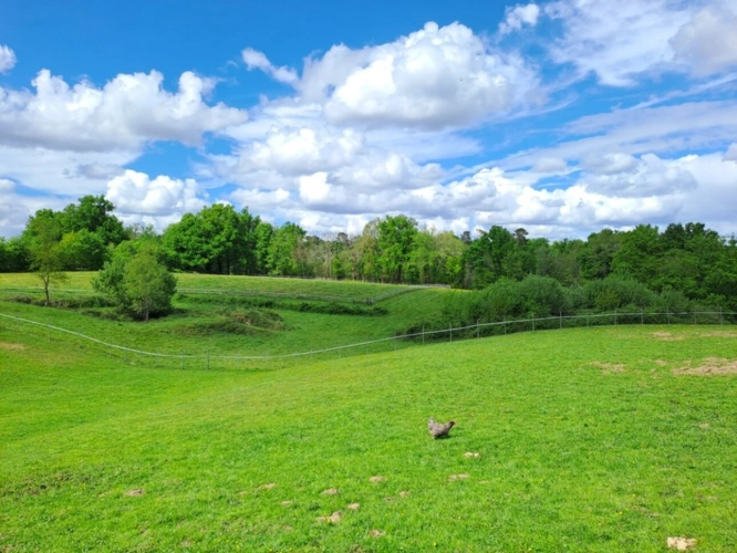 Photos 4 - Prestige - Charme authentique et prestations exceptionnelles