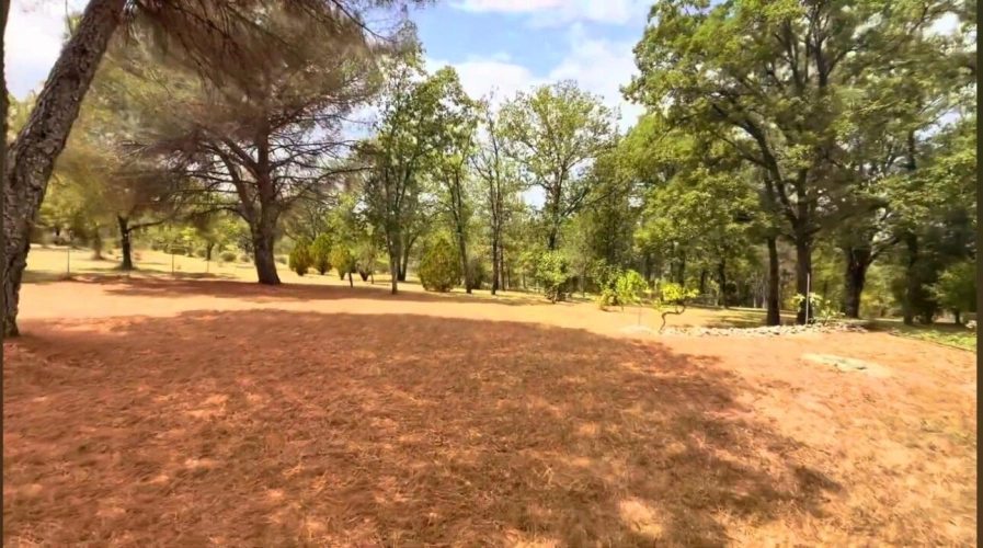 Photos 2 - Prestige - Maison