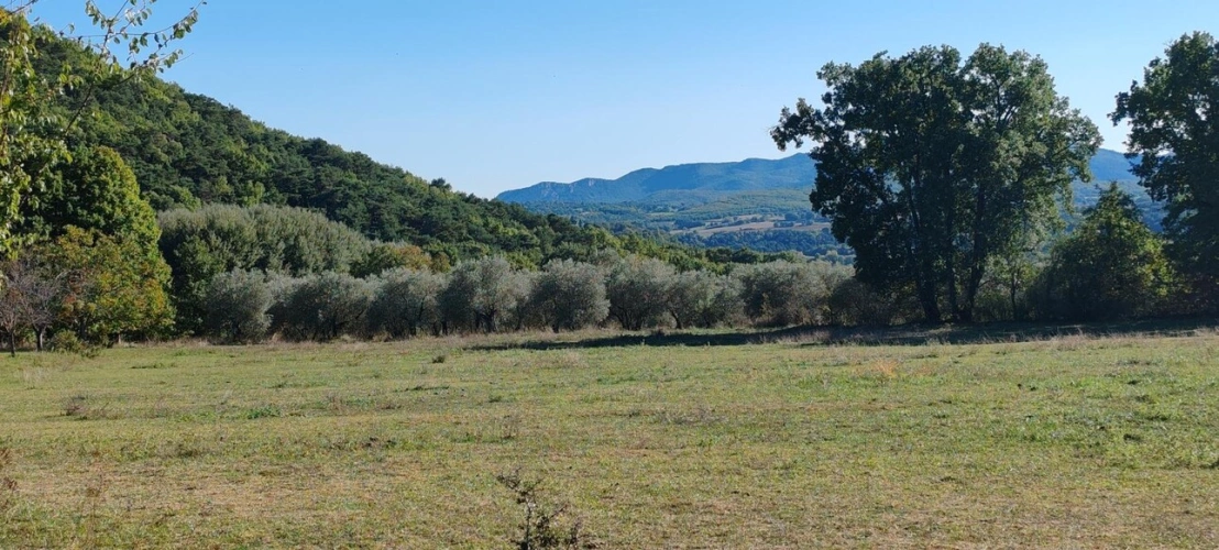 Photos 17 - Équestre - Propriété agricole