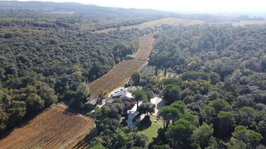 Photos 3 - Touristique - Propriété avec piscine, oliveraie et vignoble