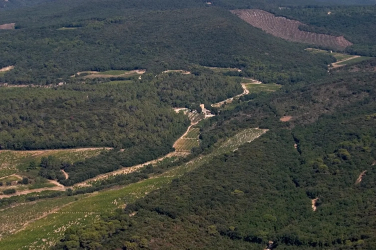 Photos 4 - Touristique - Propriété avec piscine, oliveraie et vignoble