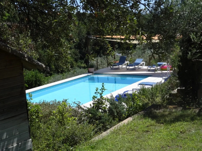 Photos 6 - Touristique - Propriété avec piscine, oliveraie et vignoble