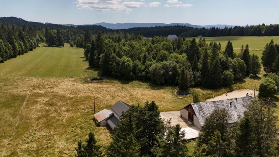 Photos 30 - Prestige - Propriete à vendre 15 pièces LE GRAND ABERGEMENT (01)