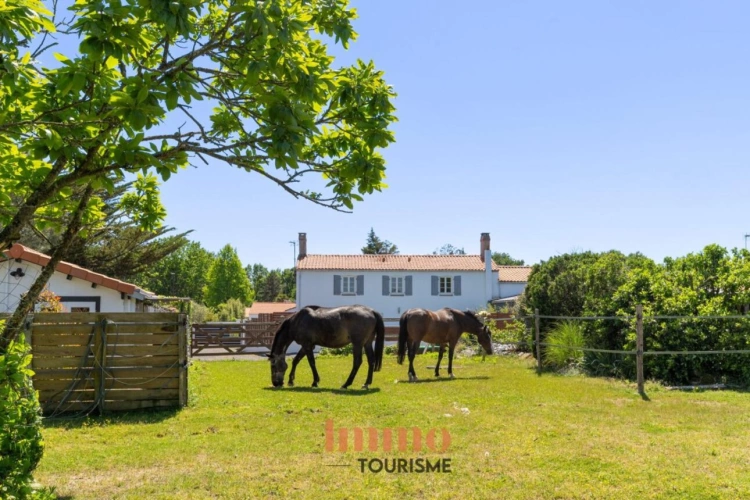 Photos 5 - Touristique - Élégant domaine avec 2 gîtes, piscine & 1 hectare de nature p