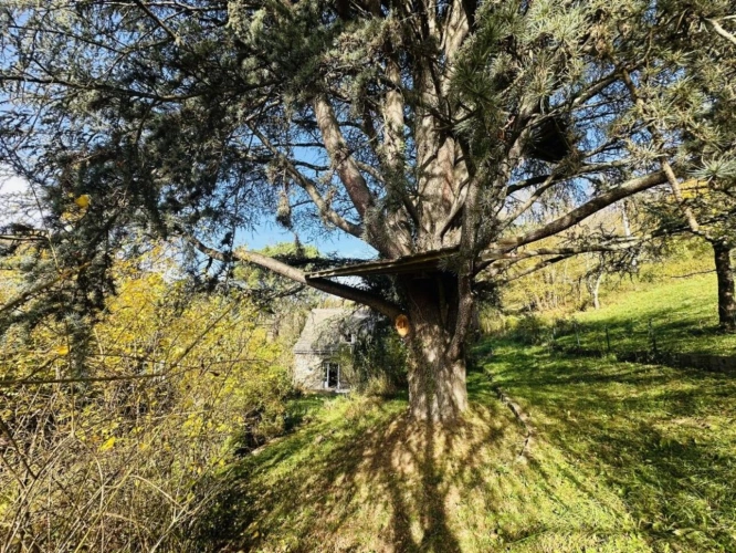 Photos 17 - Prestigious - House