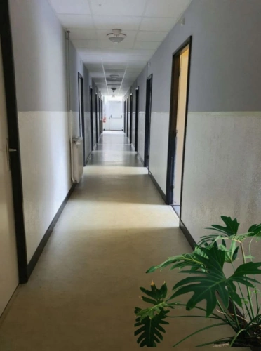 Photos 28 - Tourist - PROPERTY for sale: 20 rooms near REMIREMONT (88) on 2.4 hectares with a POND and SPRING