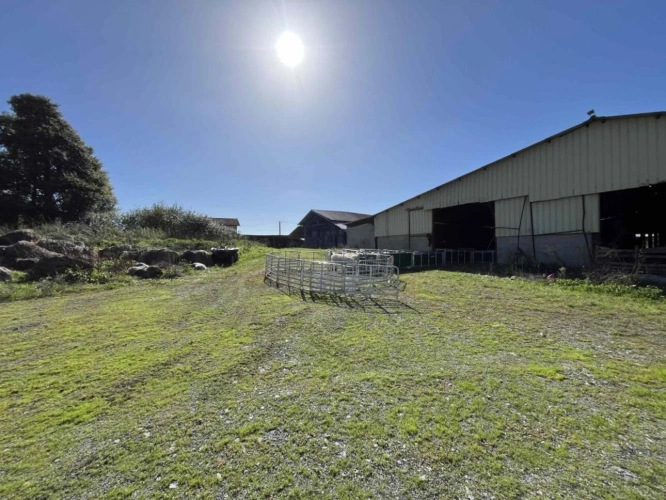 Photos 17 - Prestige - Maison