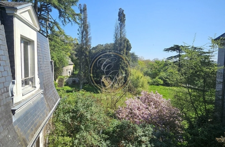 Photos 11 - Prestige - Propriete à vendre 14 pièces SAVENNIERES (49)