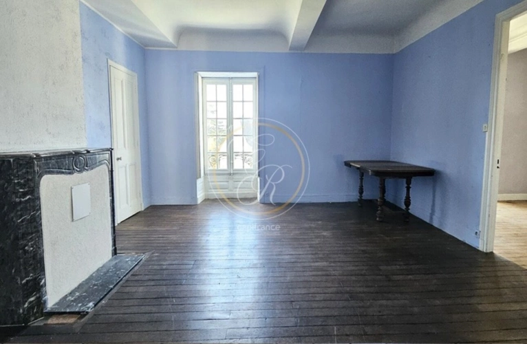 Photos 14 - Prestige - Propriete à vendre 14 pièces SAVENNIERES (49)