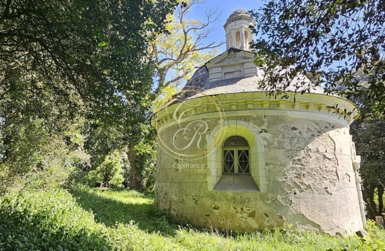 Photos 15 - Prestige - Propriete à vendre 14 pièces SAVENNIERES (49)