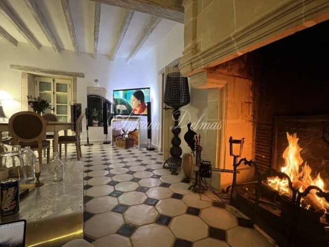 Photos 6 - Prestige - Propriete à vendre 6 pièces proche de CORMERY (37)