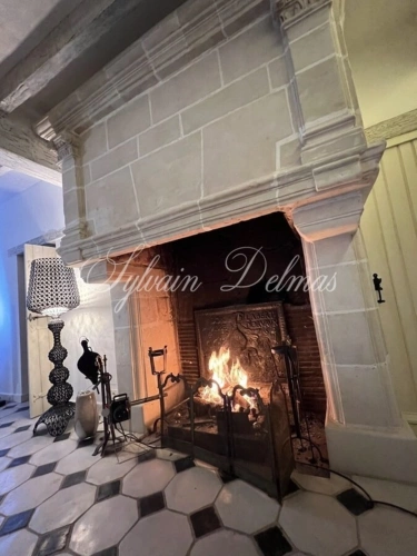 Photos 9 - Prestige - Propriete à vendre 6 pièces proche de CORMERY (37)