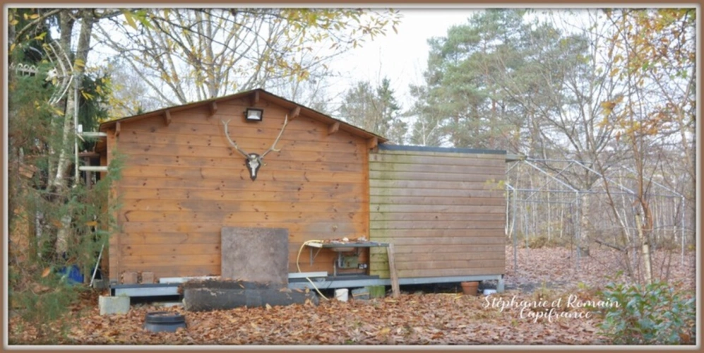 Photos 19 - Forest - Découvrez ce domaine d'exception à proximité de Nançay