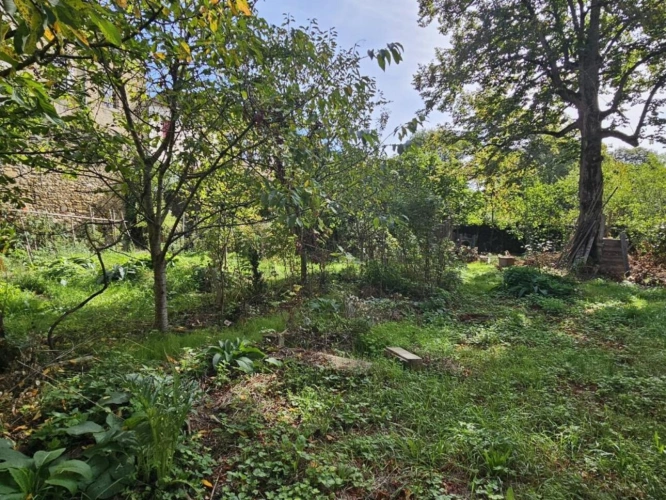 Photos 14 - Prestige - Maison