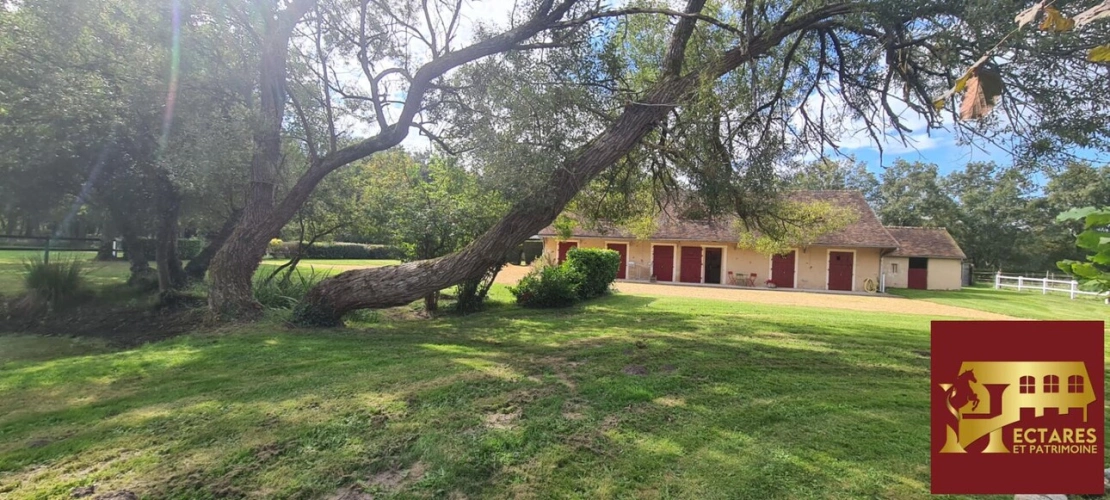 Photos 2 - Équestre - LA FLECHE Propriété équestre avec gîtes