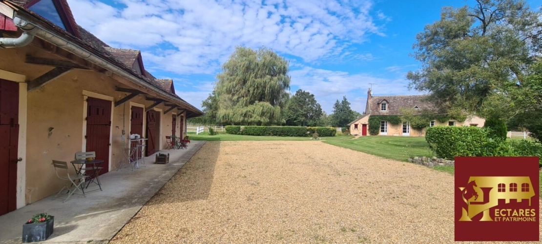 Photos 5 - Équestre - LA FLECHE Propriété équestre avec gîtes