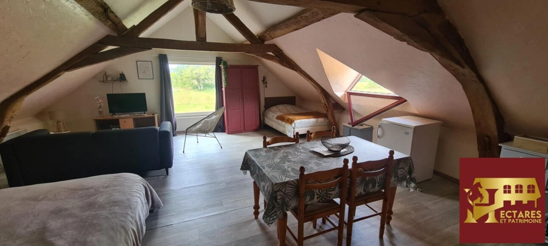 Photos 11 - Équestre - LA FLECHE Propriété équestre avec gîtes