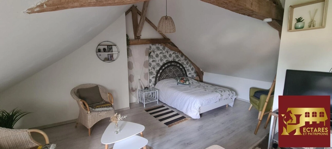 Photos 12 - Équestre - LA FLECHE Propriété équestre avec gîtes