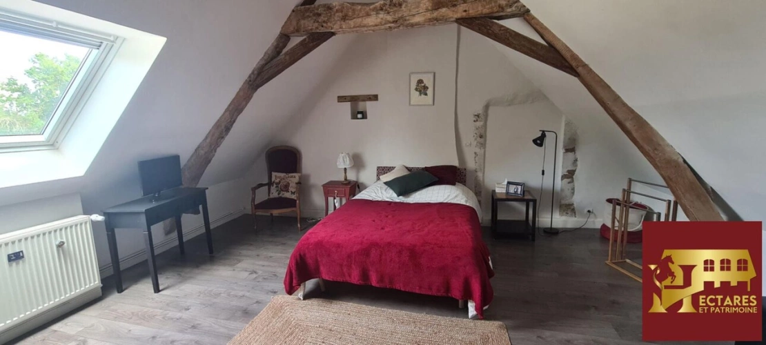 Photos 13 - Équestre - LA FLECHE Propriété équestre avec gîtes