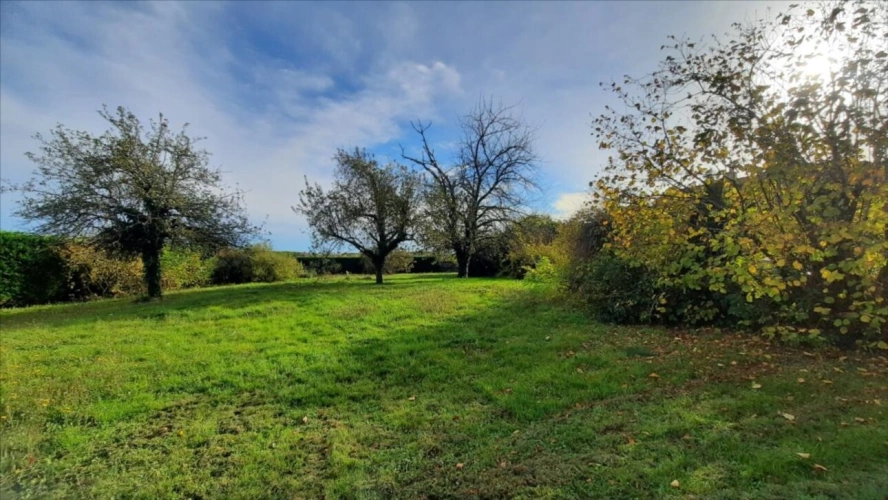Photos 6 - Touristique - Magnifique environnement à deux pas de Beauval