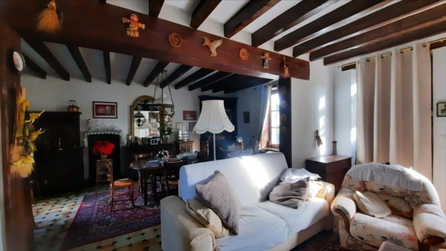 Photos 9 - Touristique - Magnifique environnement à deux pas de Beauval