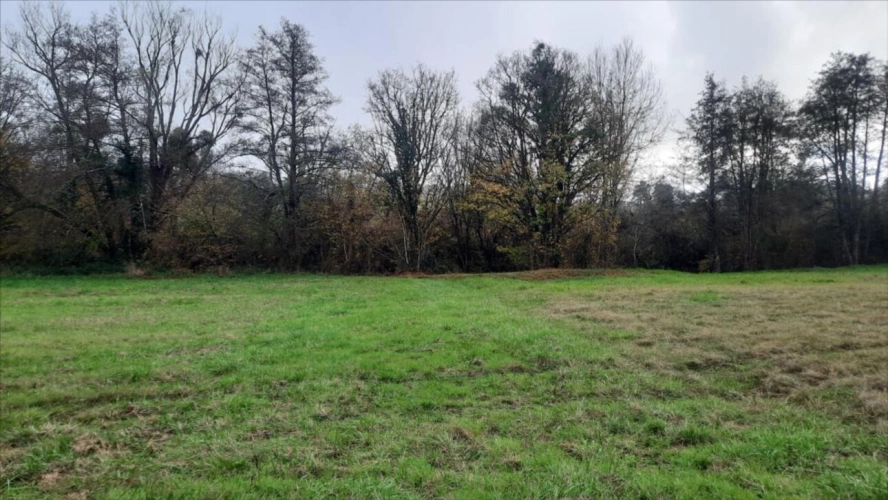 Photos 11 - Touristique - Magnifique environnement à deux pas de Beauval