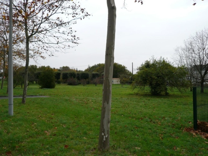 Photos 8 - Foncière -  CHATEAUBERNARD (16) Terrain en Zone Urbaine à Vocation Economique 
