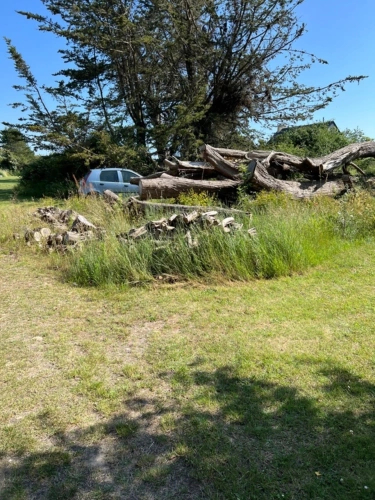 Photos 3 - Foncière - Terrain de loisir à vendre  DENNEVILLE (50)