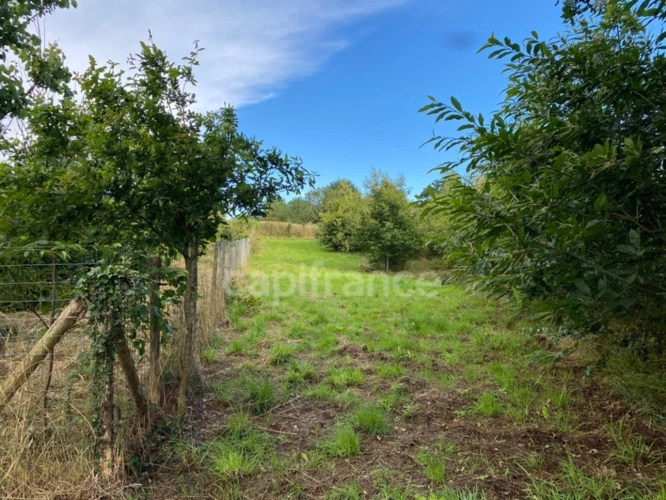 Photos 11 - Foncière - Terrain de loisirs avec un grand verger et un étang