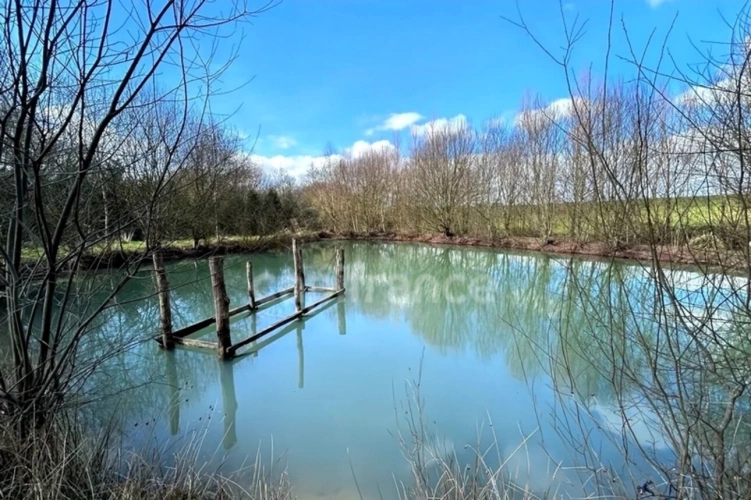 Photos 2 - Foncière - Terrain de loisirs avec un grand verger et un étang