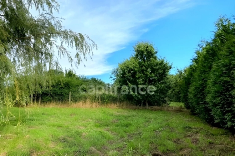 Photos 9 - Foncière - Terrain de loisirs avec un grand verger et un étang