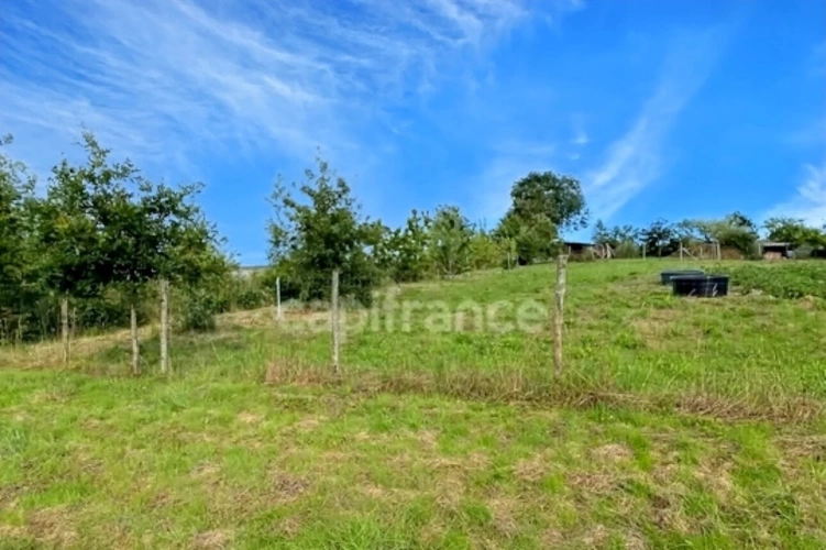 Photos 10 - Foncière - Terrain de loisirs avec un grand verger et un étang