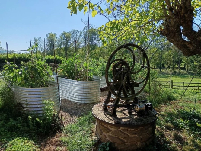 Photos 12 - Équestre - Propriété