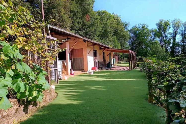 Photos 13 - Équestre - Propriété