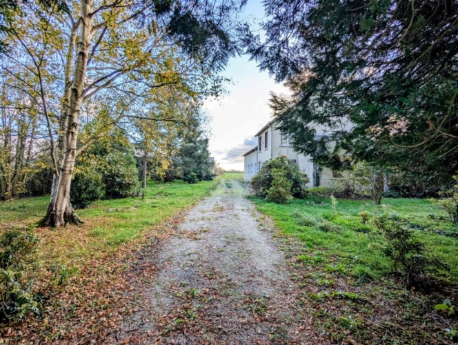 Photos 9 - Equestrian - Maison avec terres agricoles